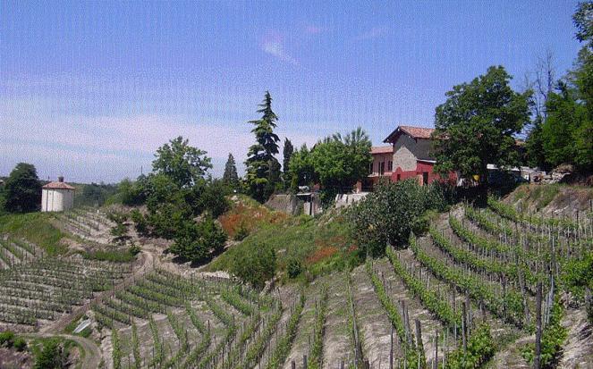 Villa Cascina Sant'Eufemia à Sinio Extérieur photo