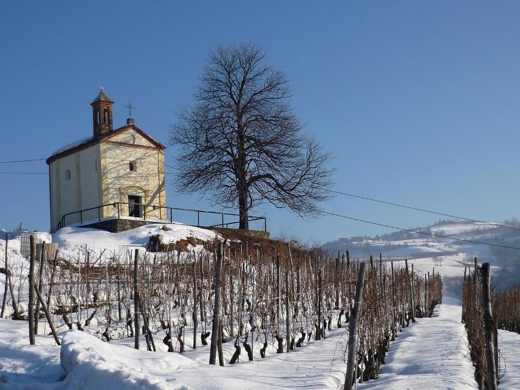 Villa Cascina Sant'Eufemia à Sinio Extérieur photo